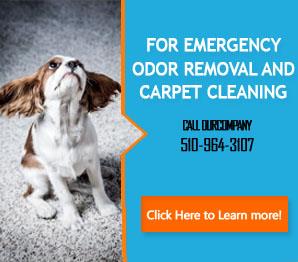 Our Services - Carpet Cleaning Oakland, CA