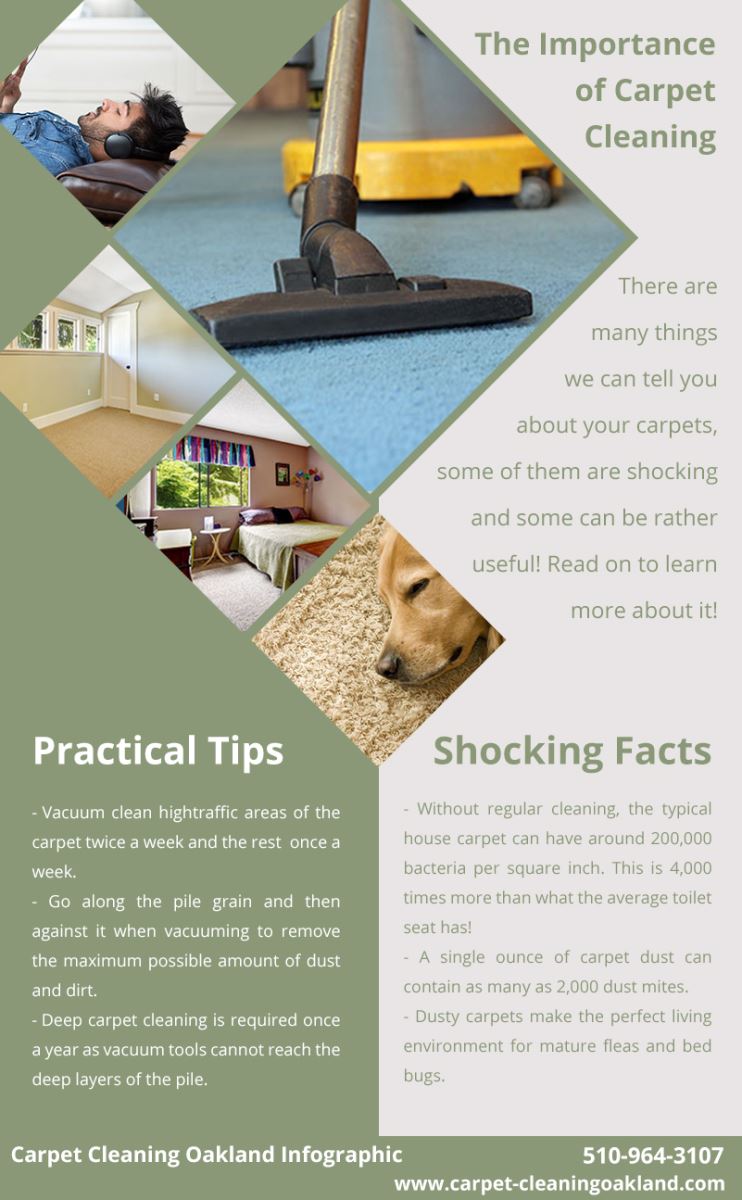 Carpet Cleaning Oakland Infographic